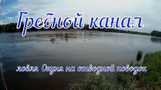 Гребной канал ( ловля Окуня на отводной поводок )