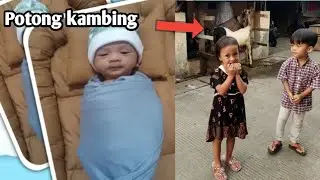Rewang lagi !! AQIQAH dedek Adnan,potong dua ekor kambing