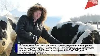 Итоги недели 27 февраля - 5 марта 2023 г.