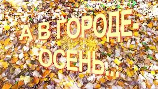 А в городе - осень. Прогулка по Хабаровску.