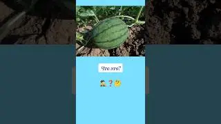 Как это называется? 🤔 