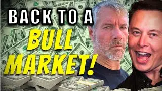 What To Do In This Crypto Crash (SCARY) What I Am Doing In This Crash
