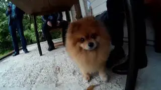 Поездка в Свистуху