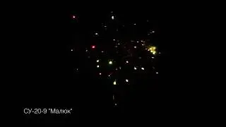 СУ 20 9  Малюк