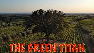THE GREEN TITAN