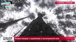 Скандал в Балтыме