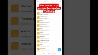 Как очистить от мусора фотографии WhatsApp 
