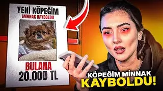 KÖPEĞİM MİNNAK KAYBOLDU! * Bulana 20.000 TL ödül