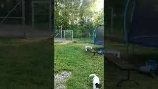 Батут на день рождения.