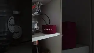 За кого голосует Алиса 