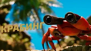 Олеша играет в рогалик с крабами | Crab Champions