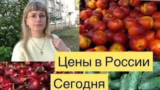 FOOD PRICES IN RUSSIA / MAGNIT STORE