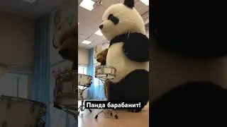 Панда играет на барабанах! Бурый медведь танцует. Санчо барабанит. Это шоу для взрослых и детей!!!