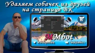 Удаляем собачек из друзей на странице ВК программой MMbot