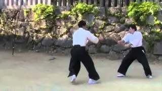 Hitohira Saito Sensei: Tsukuba Jinja Enbu Demo 2013