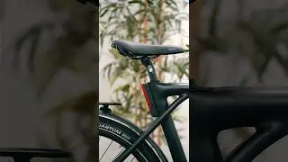My FAVORITE Electric Bike 🚴