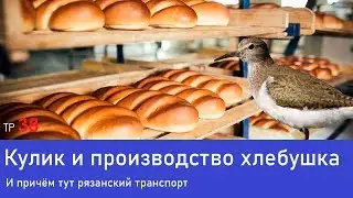 Удалённое видео и некорректное сравнение. Назад в 2017-й. (ТР38)