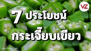 7ประโยชน์กระเจี๊ยบเขียว VZ
