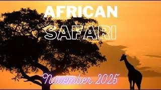 Spiritual Wellness African Safari