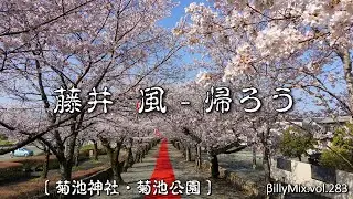 藤井  風 - 帰ろう （熊本 - 菊池神社・菊池公園の桜並木 ）/ βillyMix.vol.283