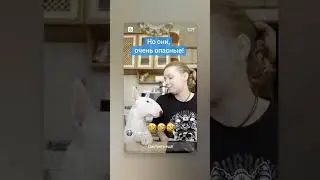 6 августа 2024 г.