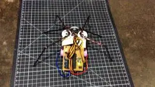 spider walking test 2