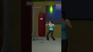 Exerto Punch Bag | The Sims 2 | 