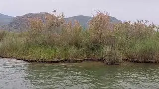 Muğla Dalyan'da Bir Gün