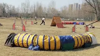 20 апреля 2022 г.