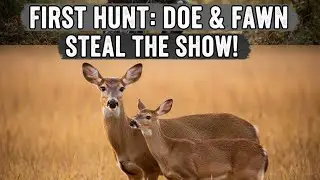 First Hunt of the Season: Doe & Fawns Steal the Show! (Epic Woods Footage) 🦌🌿