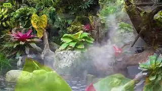 Nhạc thư giãn buổi sáng ,Vườn nhà cam 5