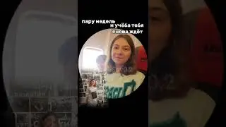 Nepeta/AmeliSav 0.2