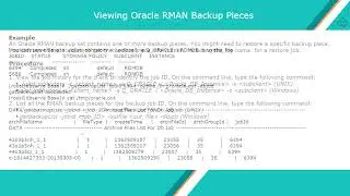 Oracle DB Recovery via Recovery Manager Interface using RMAN commands - CommVault