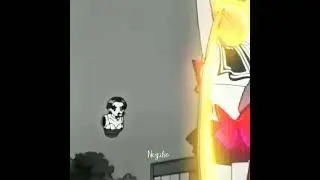 fogo-forget sailor moon (3