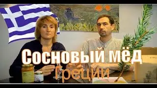Сосновый мед из Греции - дегустация