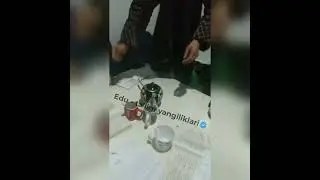 Zerikkan abituriyentlar