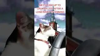 ‪@GREENSCREENTHINGS‬