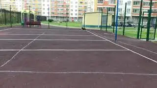 Бульдог футболист
