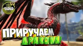 Приручаем Dreadful Dragon!  - Ark Survival Evolved Gaia #7