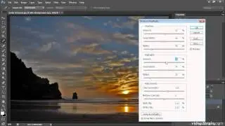 Using the Shadows/Highlights Adjustment