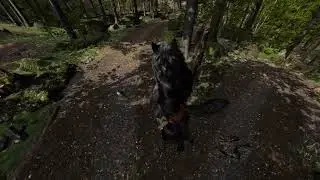 KAT WALK VR C2+ Treadmill first testrun in VRCHAT + FBT (VRCHAT)