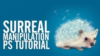 Surreal Photoshop Tutorial - The Hedgehog