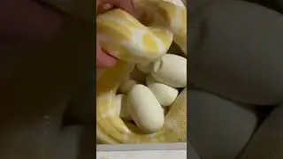Акушер для питона. Роды. ДОГАМА 