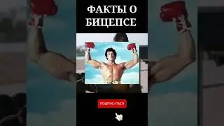 Факты о бицепсе #shorts