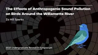 The Effects of Anthropogenic Sound Pollution on Birds Around The Willamette River