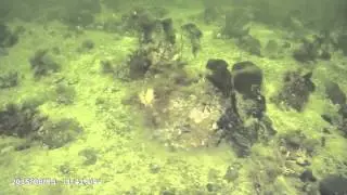 Белое море часть 4