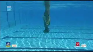 Módulo I - vídeo 8