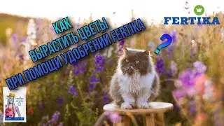 Фертика: Удобрения для цветов
