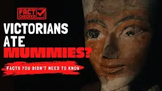 Horrifying Facts That You DIDN'T Need To Know