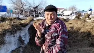 веб- сериал 